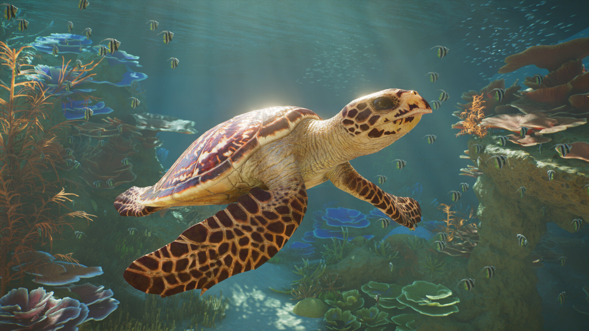 Sea turtles in an official Planet Zoo 2 aquarium screenshot