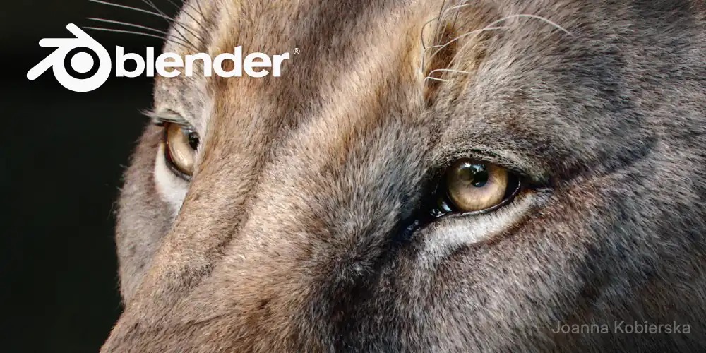 Blender official 5.2 splash artwork by Joanna Kobierska